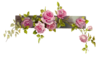 Border Flower Rose Line Image